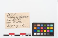 Etikett zu Goldperlen (NHMW-PRAE-025701)